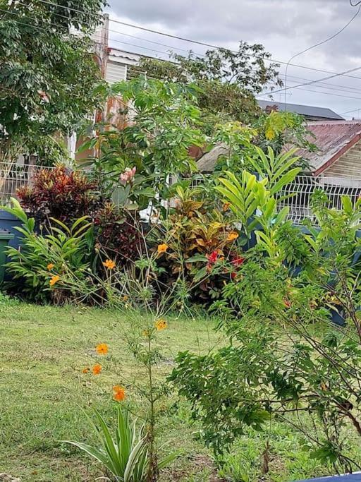 La Petite Maison, Spacieuse, Avec Jardin / Parking サント・ローズ エクステリア 写真